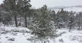 Training in Cold Weather | Bill Starr