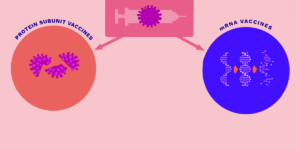 Understanding the Different Types of Covid-19 Vaccines